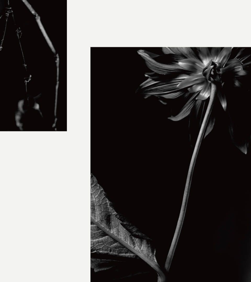  Re/Compose - Image 2