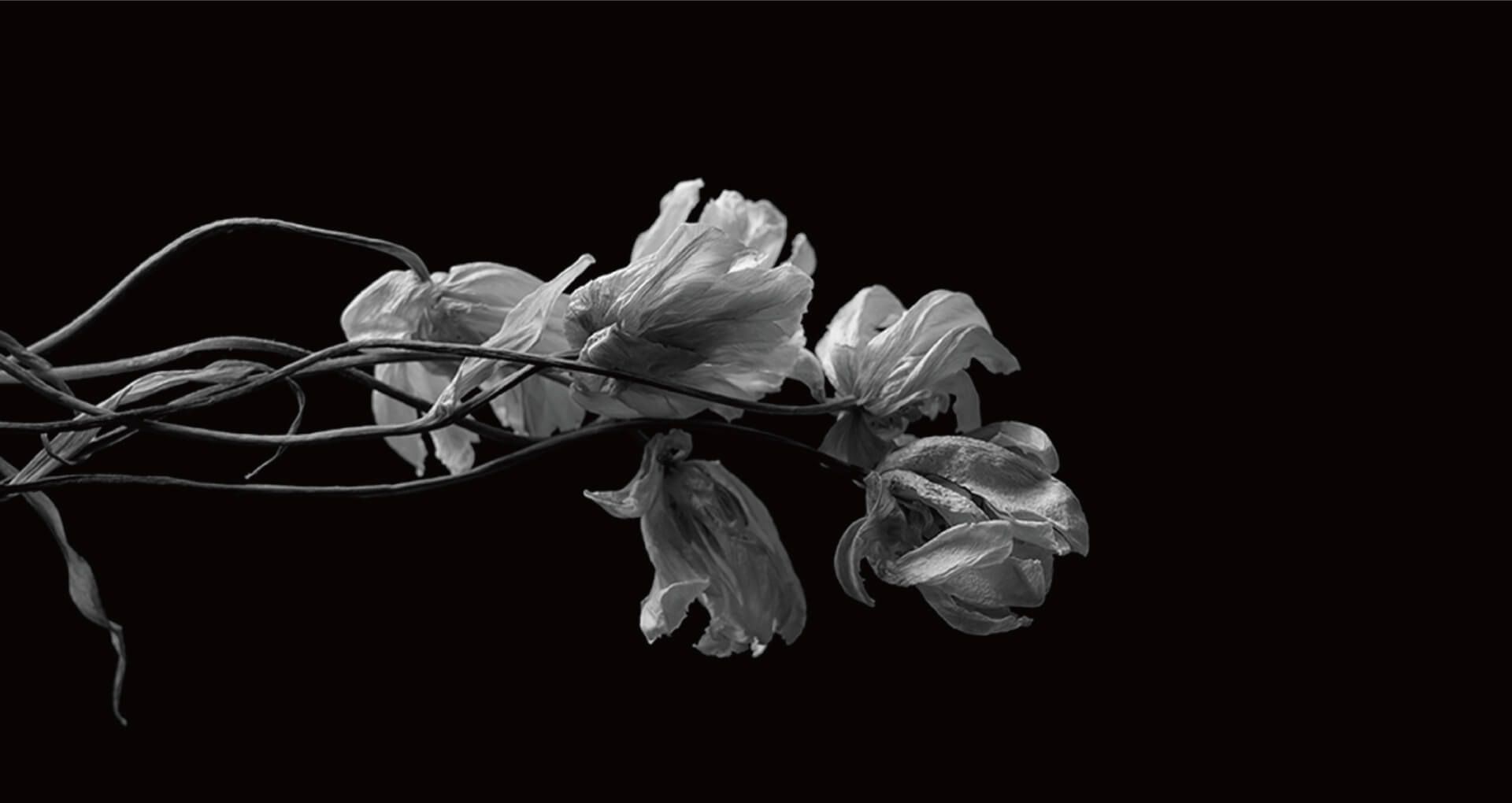  Re/Compose - Image 1