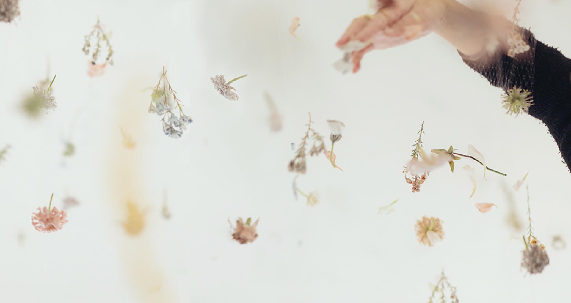  Re/Compose - Image 1