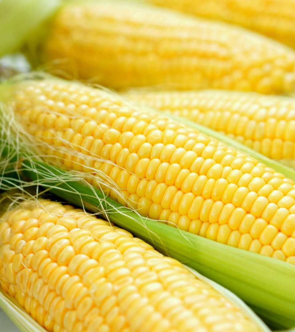 FONEN & FONHER - Image 1