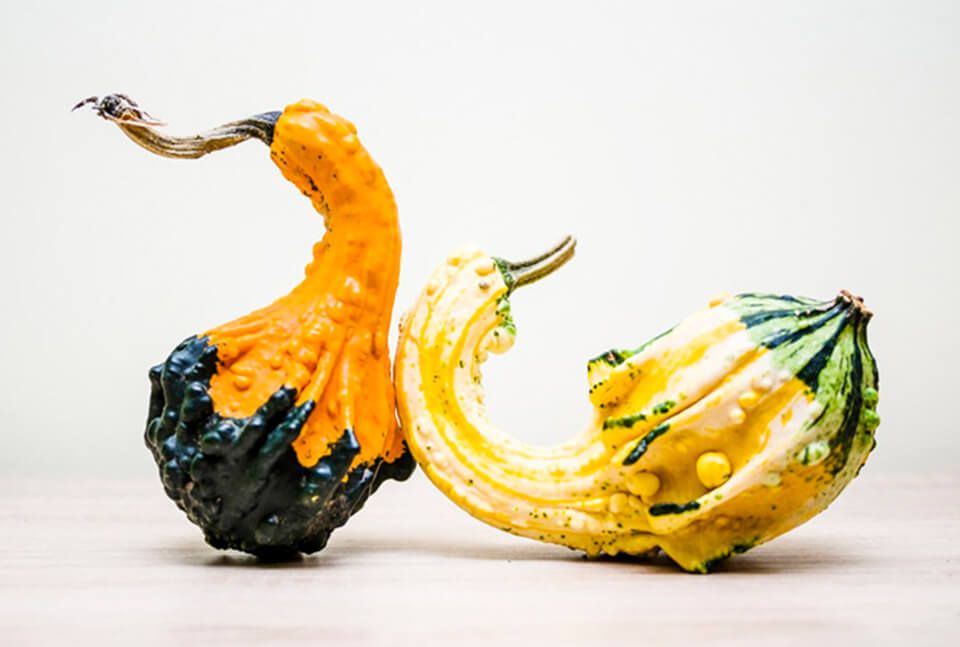 「心」飲食文化 - 餐飲品牌案例分析 - Image 2