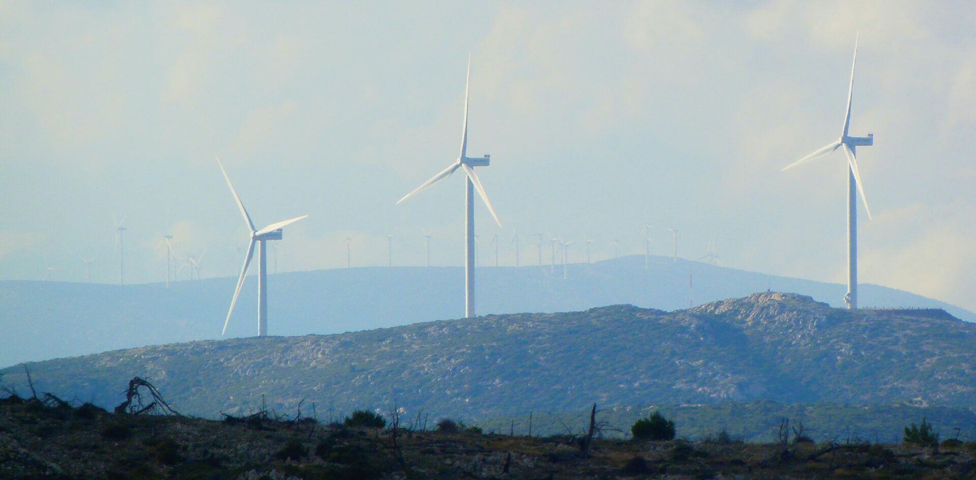 成功品牌經營的永續思維創意設計 - Image 1