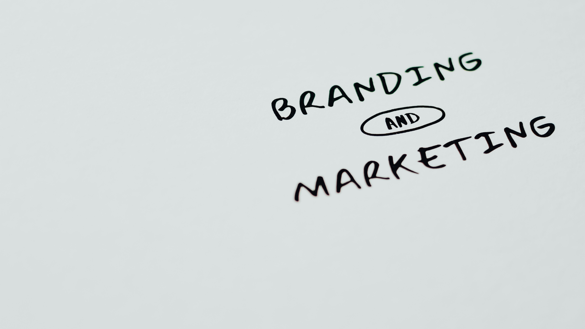 When Brand and Marketing Operate Separately, What Does a Business Actually Lose?
